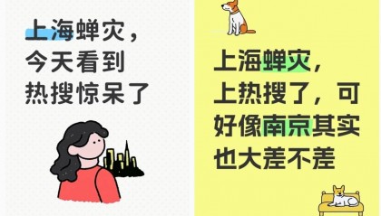 上海市民称被蝉鸣蝉尿困扰，专家：多品种遇上“大年”，蝉尿对人体本身无害