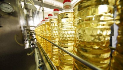 鲁花胖东来卖爆，进口油和家庭榨油机卖火，是该让良币驱逐劣币了