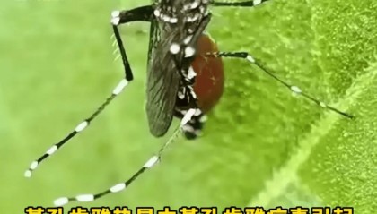 最新警报！此地确诊3195例！发现这种情况立即就医