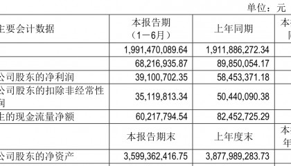 广州酒家：2025年上半年净利润3910.07万元