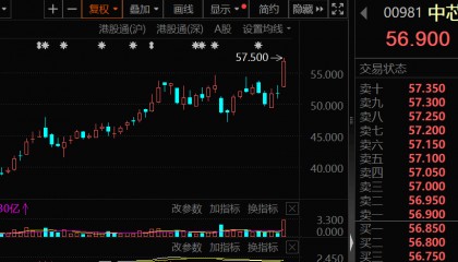 大幅加仓，连续14周净买入！资金涌向这些股，芯片龙头成交居首