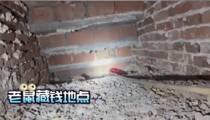 老人用红袜子包裹一万元现金藏在门框上,一天后不翼而飞,警方破案:偷钱的是老鼠