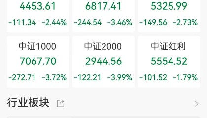 A股收评：指数放量大跌！沪指跌2.45%，创指、北证50跌逾4%，锂矿、锂电股跌停潮，江龙船艇涨超14%！近5100股下跌成交1.98万亿放量2610亿