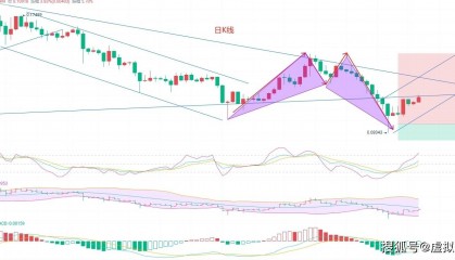 狗狗币（DOGE）浴火重生！8.11币圈院士带你入场！为你护航