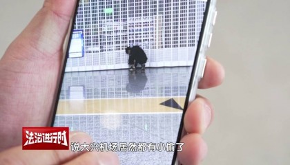 网友：大兴机场都能有小偷了吗？北京警察：抓了！