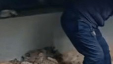 女子购买带院新房后挖出尸骨,物业:警方告知,挖出的人体骨头已经有20年了