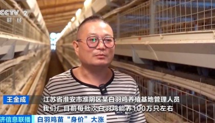 价格暴涨300%！它，从“没人要”到“买不到”