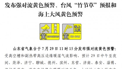 局部暴雨或大暴雨!山东多地将出现强对流天气