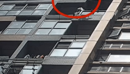 从16楼坠下！突发巨大声响，居民恐慌报警！刘某某（男，31岁），刑拘