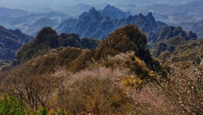 张明、王喆、陈胤默 | 三大数字货币的比较分析：比特币、天秤币与数字人民币