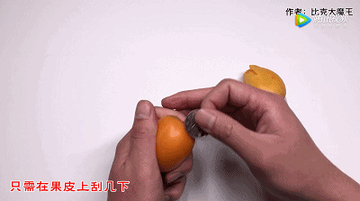 出远门前，为什么一定要在冰箱里放枚硬币？