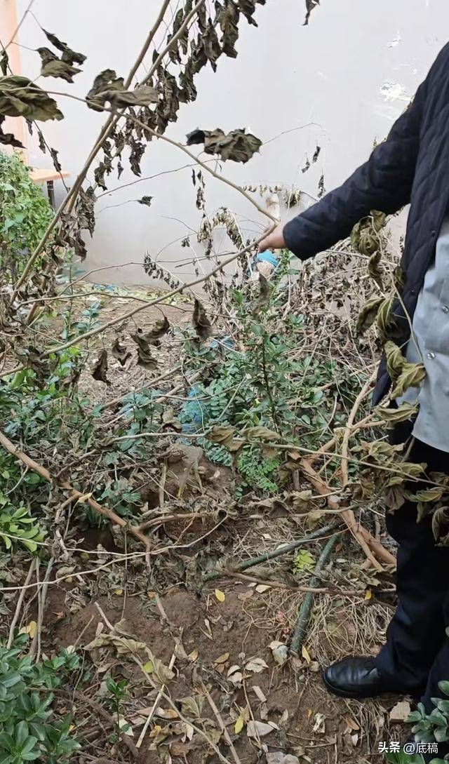 “女子遭家暴驾车逃跑致丈夫身亡案”二审开庭 家属还原事发地驾车逃跑细节