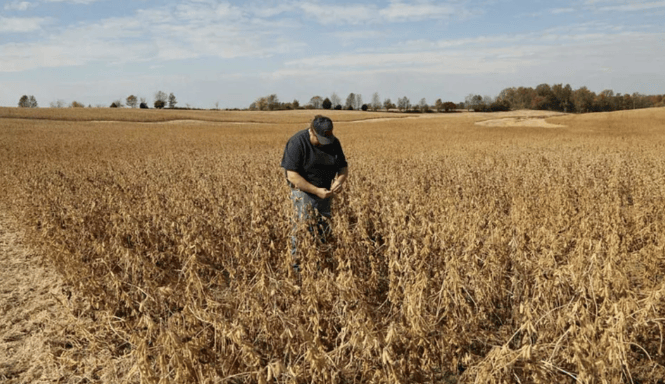 谈妥了又突然变卦！中国复购美国大豆换关税暂停，美贸易代表直接通告全球：继续查中国