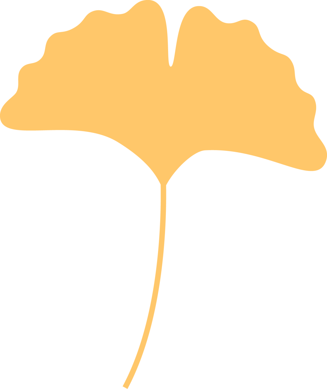 【活动回顾】罗山星悦读“金秋诵章，经典有约”活动圆满落幕