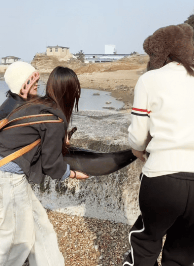 女大学生在大连海边拍摄素材,却意外发现已死亡的它